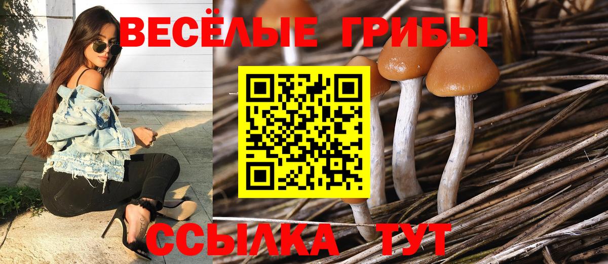 Псилоцибиновые грибы мухоморы  Вход с VPN  Галлюциногенные грибы Psilocybe  Муром 